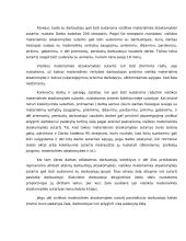Materialinė žala 10 puslapis