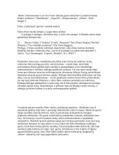 Vaizdo ir garso sąveika kine 2 puslapis