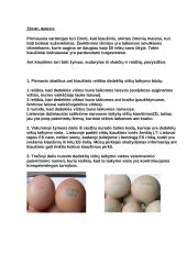 Kiaušiniai ir jų produktai 9 puslapis