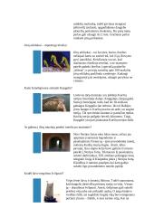 LIETUVOS JŪRŲ MUZIEJUS 3 puslapis