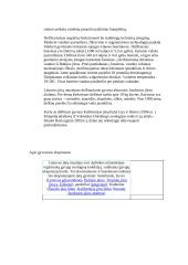 LIETUVOS JŪRŲ MUZIEJUS 5 puslapis