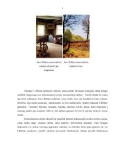 Jonas Biliūnas. Biografija ir analizė 3 puslapis