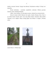 Jonas Biliūnas. Biografija ir analizė 4 puslapis