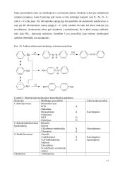 Organinių medžiagų biotransformacijos 11 puslapis