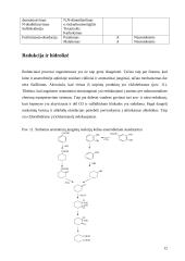 Organinių medžiagų biotransformacijos 12 puslapis