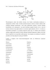 Organinių medžiagų biotransformacijos 8 puslapis