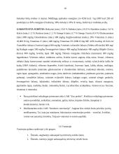 Produkcijos ir paslaugos teikimo technologija sukurtoje įmonėje: UAB "Auksinės pėdutės" 11 puslapis