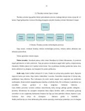 Produkcijos ir paslaugos teikimo technologija sukurtoje įmonėje: UAB "Auksinės pėdutės" 16 puslapis