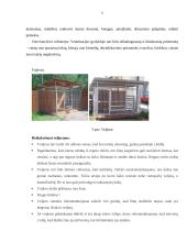 Produkcijos ir paslaugos teikimo technologija sukurtoje įmonėje: UAB "Auksinės pėdutės" 6 puslapis