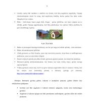 Produkcijos ir paslaugos teikimo technologija sukurtoje įmonėje: UAB "Auksinės pėdutės" 7 puslapis