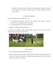 Produkcijos ir paslaugos teikimo technologija sukurtoje įmonėje: UAB "Auksinės pėdutės" 8 puslapis