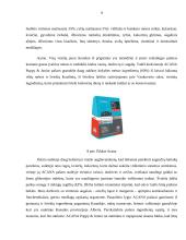 Produkcijos ir paslaugos teikimo technologija sukurtoje įmonėje: UAB "Auksinės pėdutės" 10 puslapis