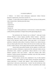 Valdymo sprendimų samprata ir vieta valdyme 4 puslapis