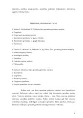 Valdymo sprendimų samprata ir vieta valdyme 6 puslapis