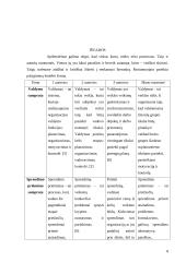 Valdymo sprendimų samprata ir vieta valdyme 8 puslapis