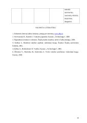 Valdymo sprendimų samprata ir vieta valdyme 10 puslapis