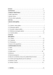 Verslo planas: UAB "Auksinės ledi" 2 puslapis