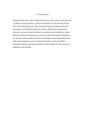 Verslo planas: UAB "Auksinės ledi" 12 puslapis