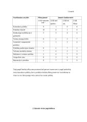 Verslo planas: UAB "Auksinės ledi" 15 puslapis