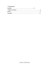 Verslo planas: UAB "Auksinės ledi" 3 puslapis