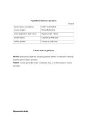 Verslo planas: UAB "Auksinės ledi" 5 puslapis