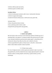 Verslo planas: UAB "Auksinės ledi" 6 puslapis