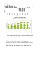 Verslo planas: UAB "Auksinės ledi" 9 puslapis