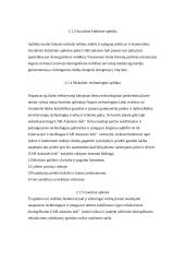 Verslo planas: UAB "Auksinės ledi" 10 puslapis