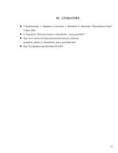 Hemodinamika: svarba ir metodika 12 puslapis