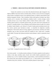 Hemodinamika: svarba ir metodika 4 puslapis