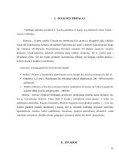 Hemodinamika: svarba ir metodika 10 puslapis