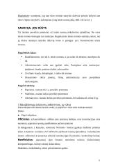 Baudžiamosios teisės konspektai 11 puslapis