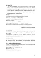 Baudžiamosios teisės konspektai 13 puslapis