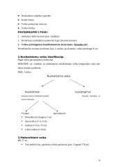 Baudžiamosios teisės konspektai 18 puslapis