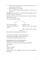 Baudžiamosios teisės konspektai 19 puslapis