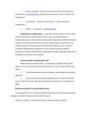 Bendruomenės organizavimas 2 puslapis