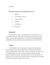 Bendruomenės organizavimas 4 puslapis