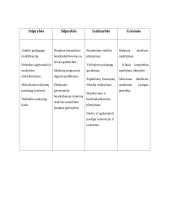 Bendruomenės organizavimas 6 puslapis