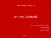 Lietuvos viešbučių verslas 