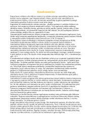 Automobilių kondicionieriai 9 puslapis