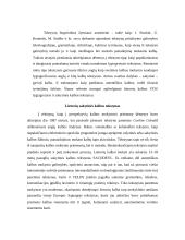 Tekstynų vaidmuo ir galimybės KV technologijų vystyme 10 puslapis