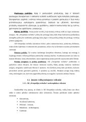 Naujos prekių linijos kūrimo procesas: AB "Ortopedijos technika" 11 puslapis