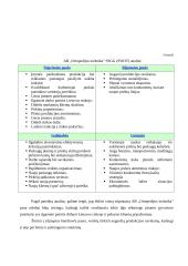 Naujos prekių linijos kūrimo procesas: AB "Ortopedijos technika" 15 puslapis