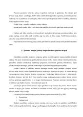 Naujos prekių linijos kūrimo procesas: AB "Ortopedijos technika" 18 puslapis