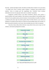 Naujos prekių linijos kūrimo procesas: AB "Ortopedijos technika" 19 puslapis