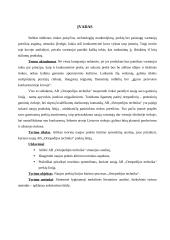 Naujos prekių linijos kūrimo procesas: AB "Ortopedijos technika" 6 puslapis