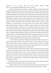 Pinigų srаutų klаsifikаvimаs ir аnаlizė: UAB "Mаlsеnа plius" 16 puslapis