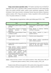 Pinigų srаutų klаsifikаvimаs ir аnаlizė: UAB "Mаlsеnа plius" 19 puslapis