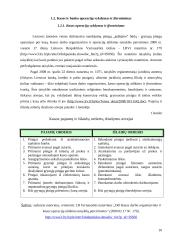 Pinigų srаutų klаsifikаvimаs ir аnаlizė: UAB "Mаlsеnа plius" 10 puslapis