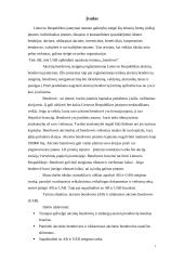 AB ir UAB steigimas 2 puslapis